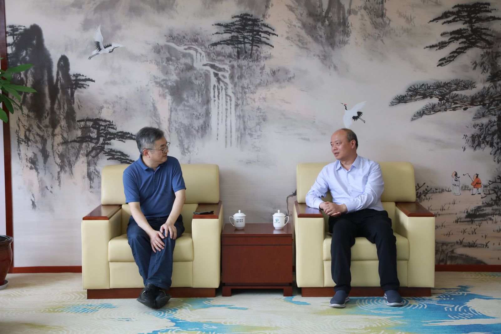 bibo必博(中国)有限公司官方网站