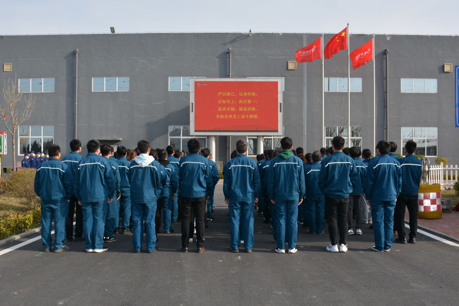 bibo必博(中国)有限公司官方网站